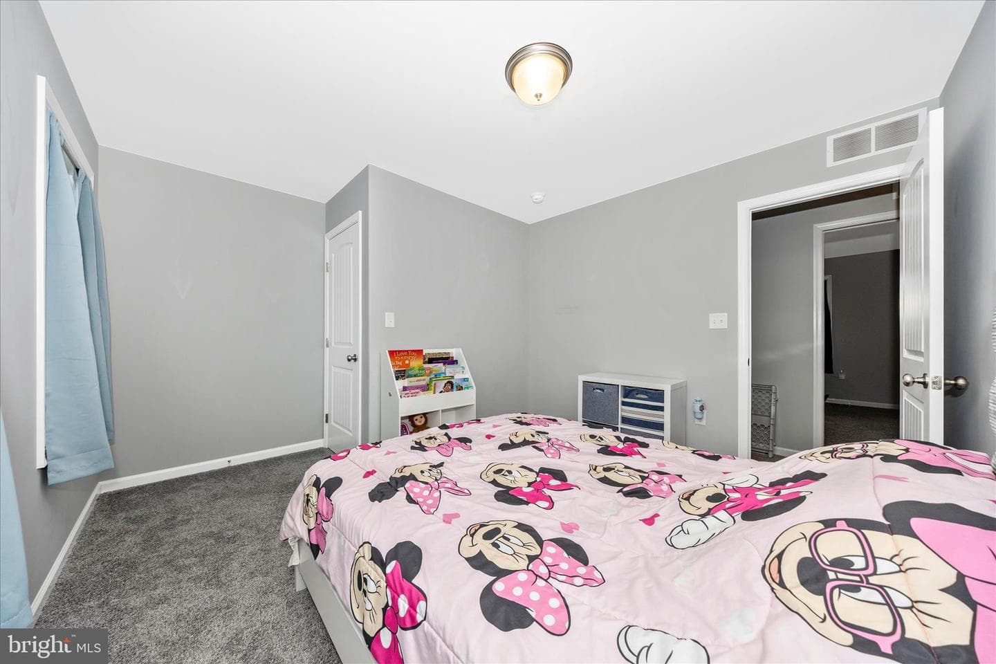 6060 Orrstown Road photo 33