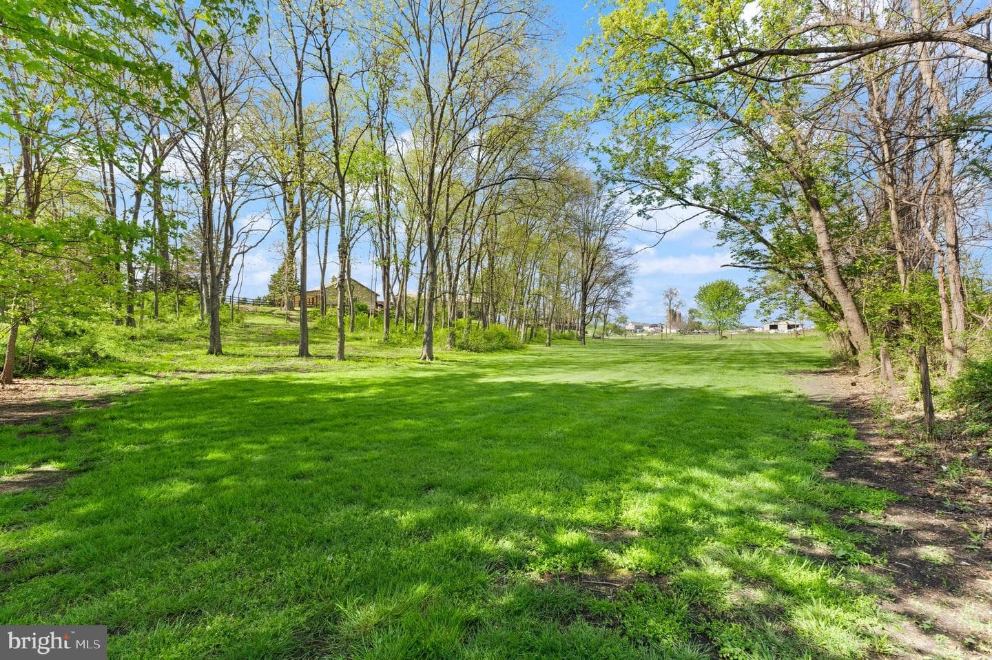 7812 Rowe Run Rd photo 131