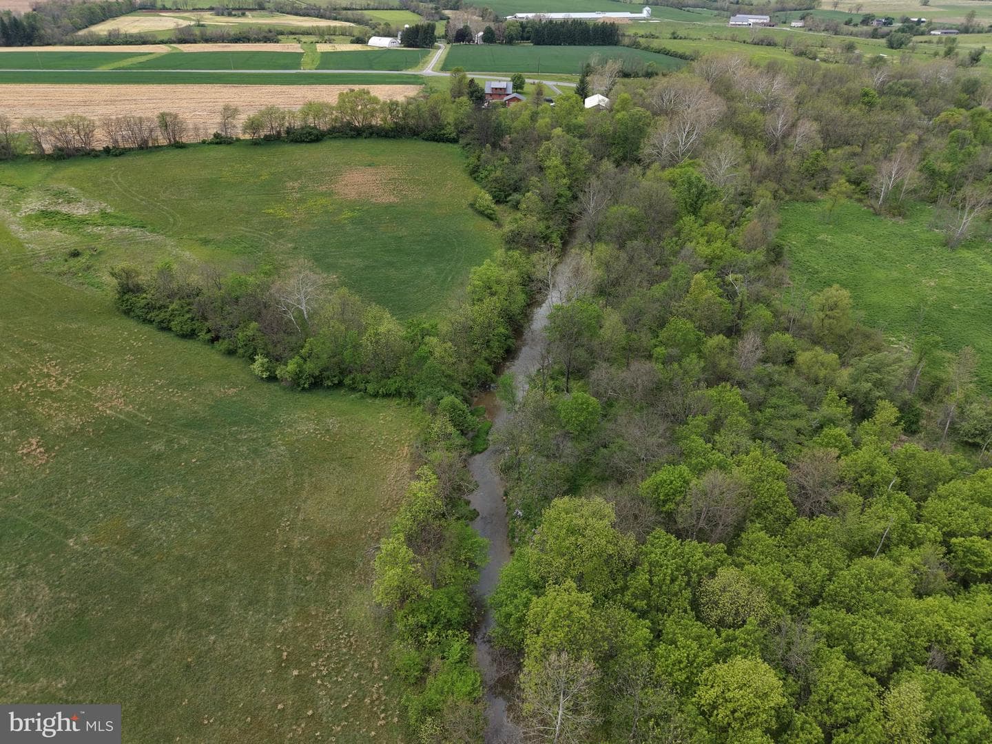 12591 Shimpstown Rd photo 13