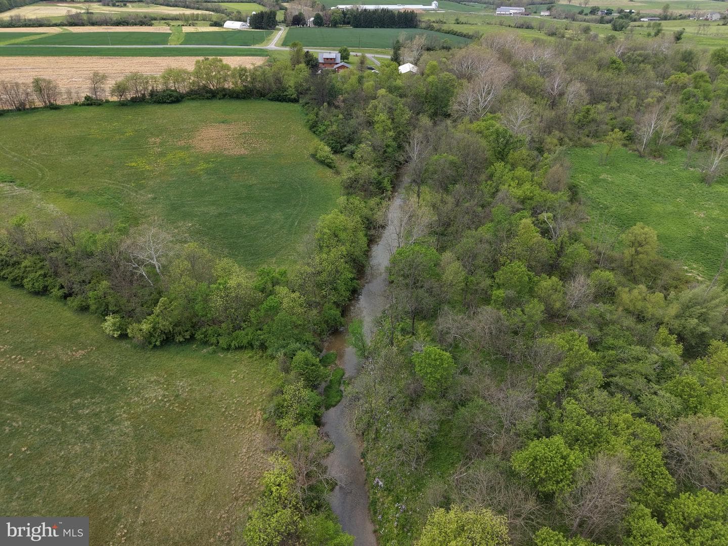 12591 Shimpstown Rd photo 14