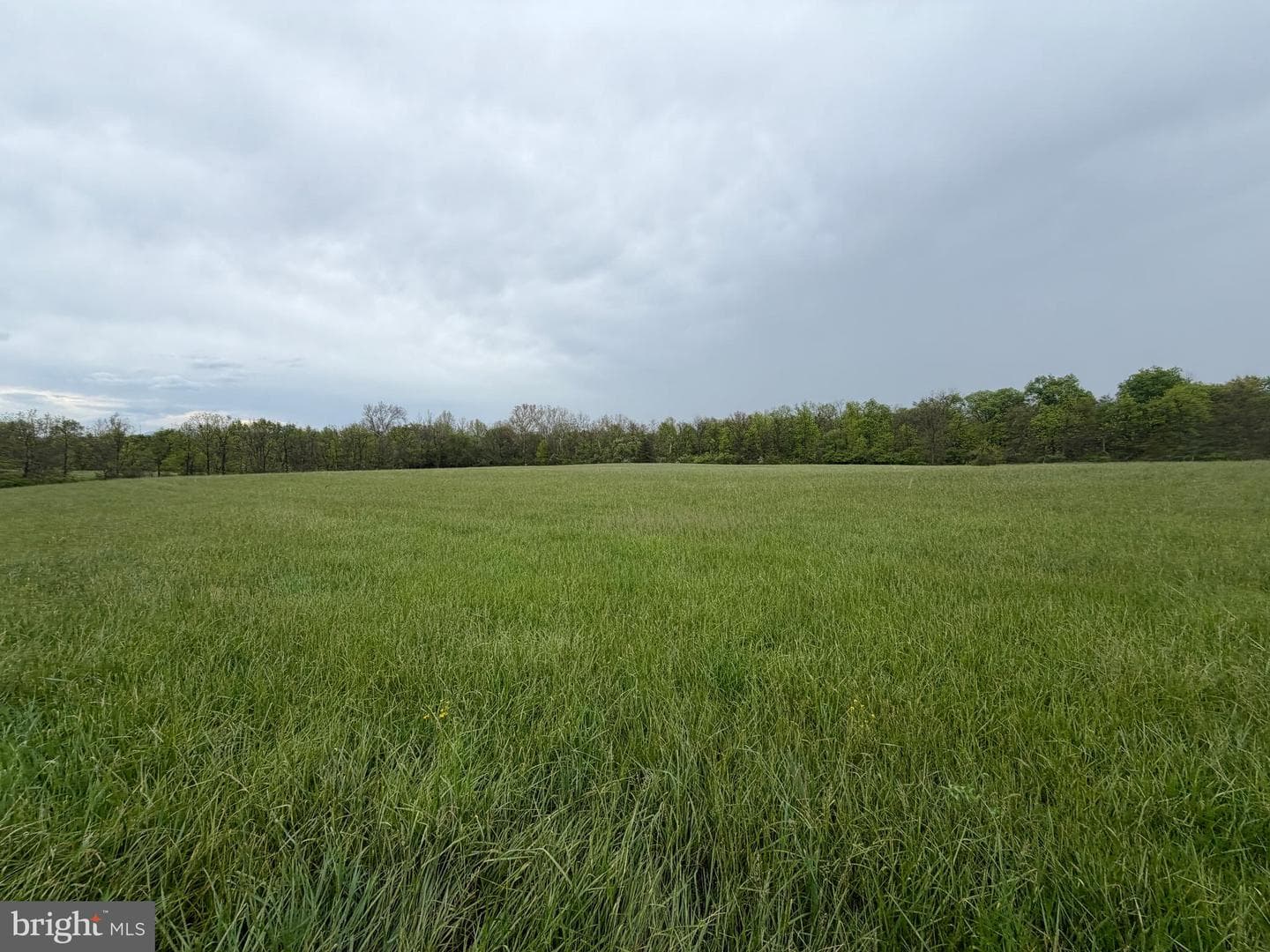 12591 Shimpstown Rd photo 34