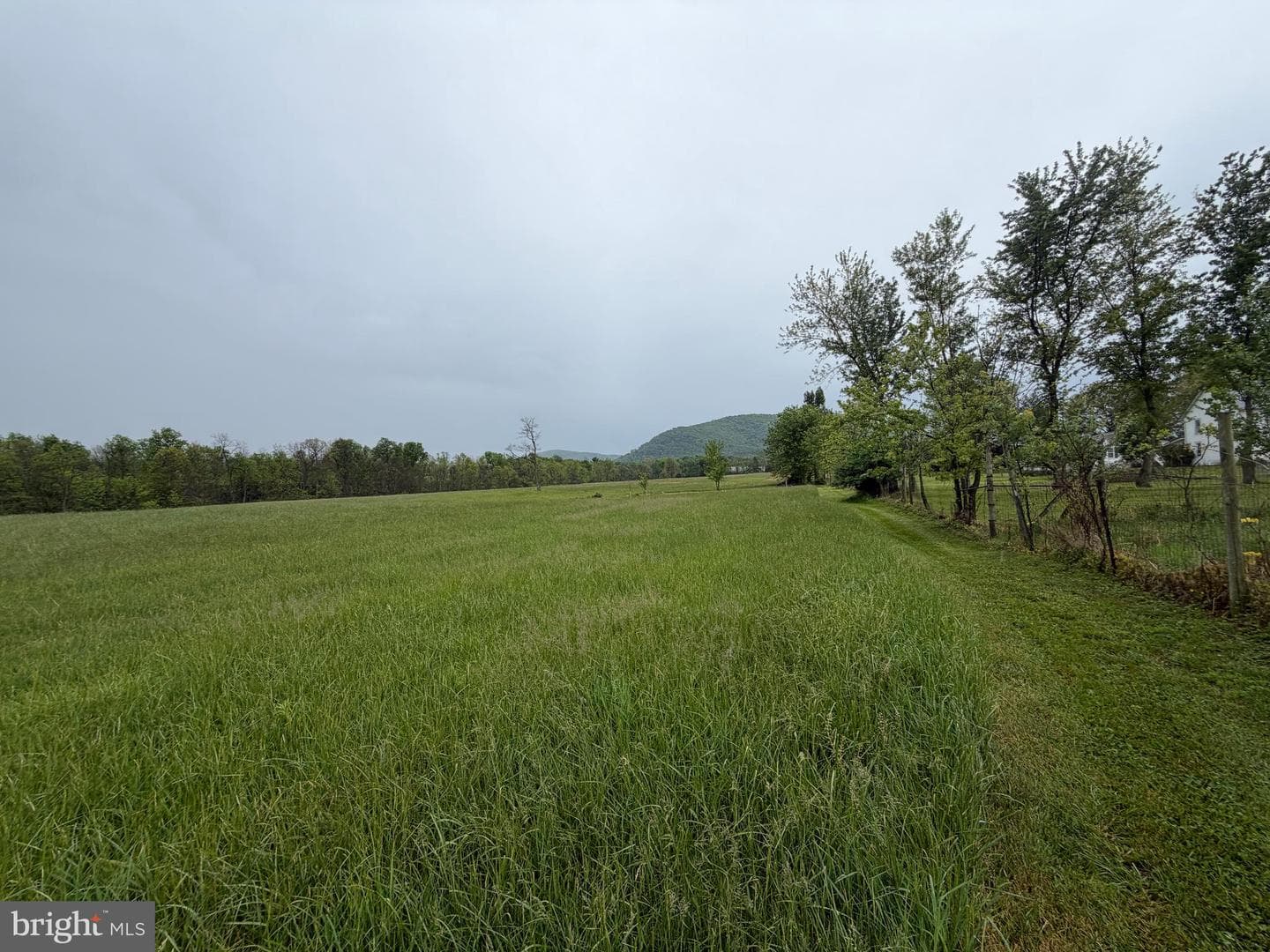 12591 Shimpstown Rd photo 35