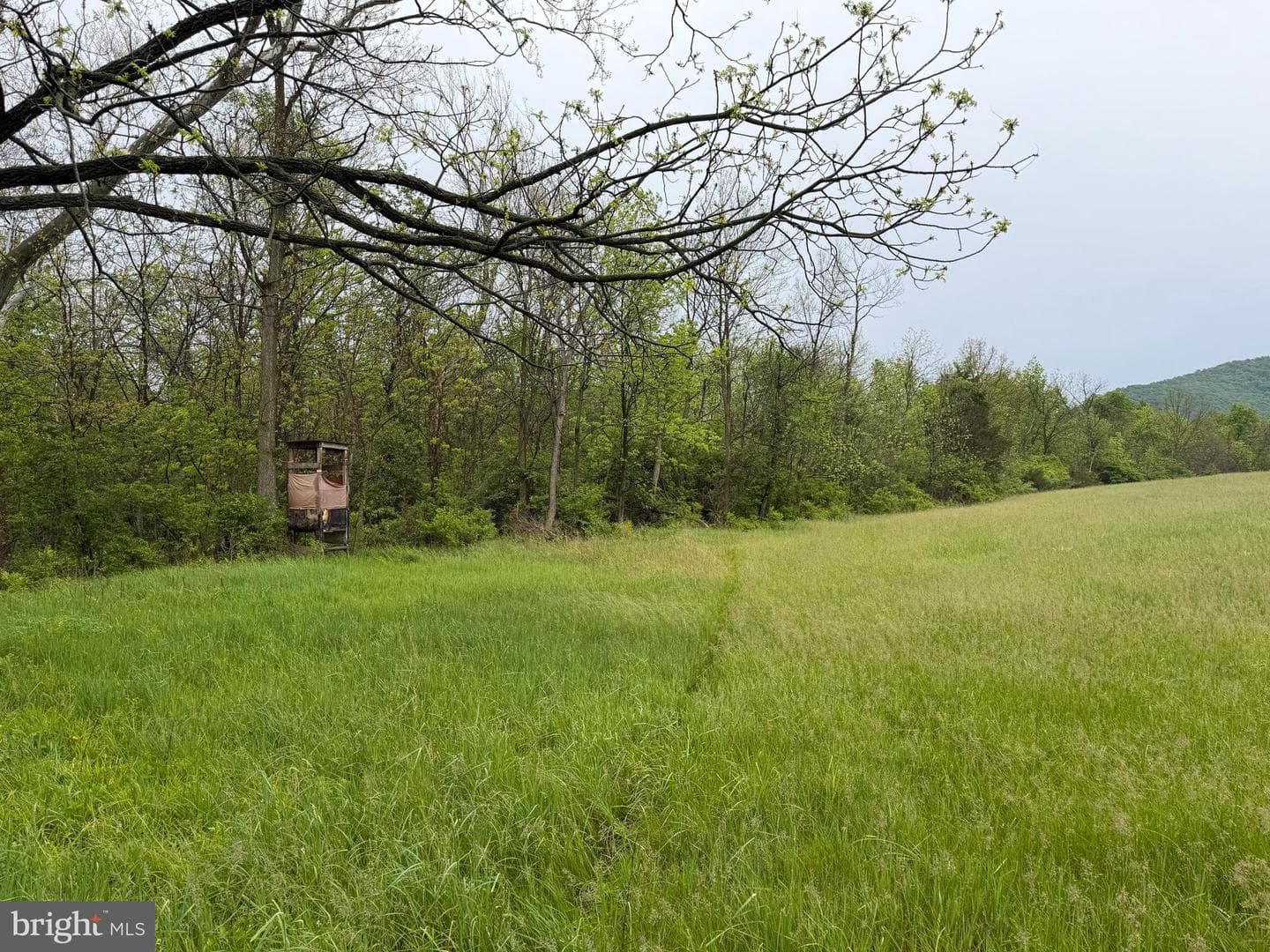 12591 Shimpstown Rd photo 36