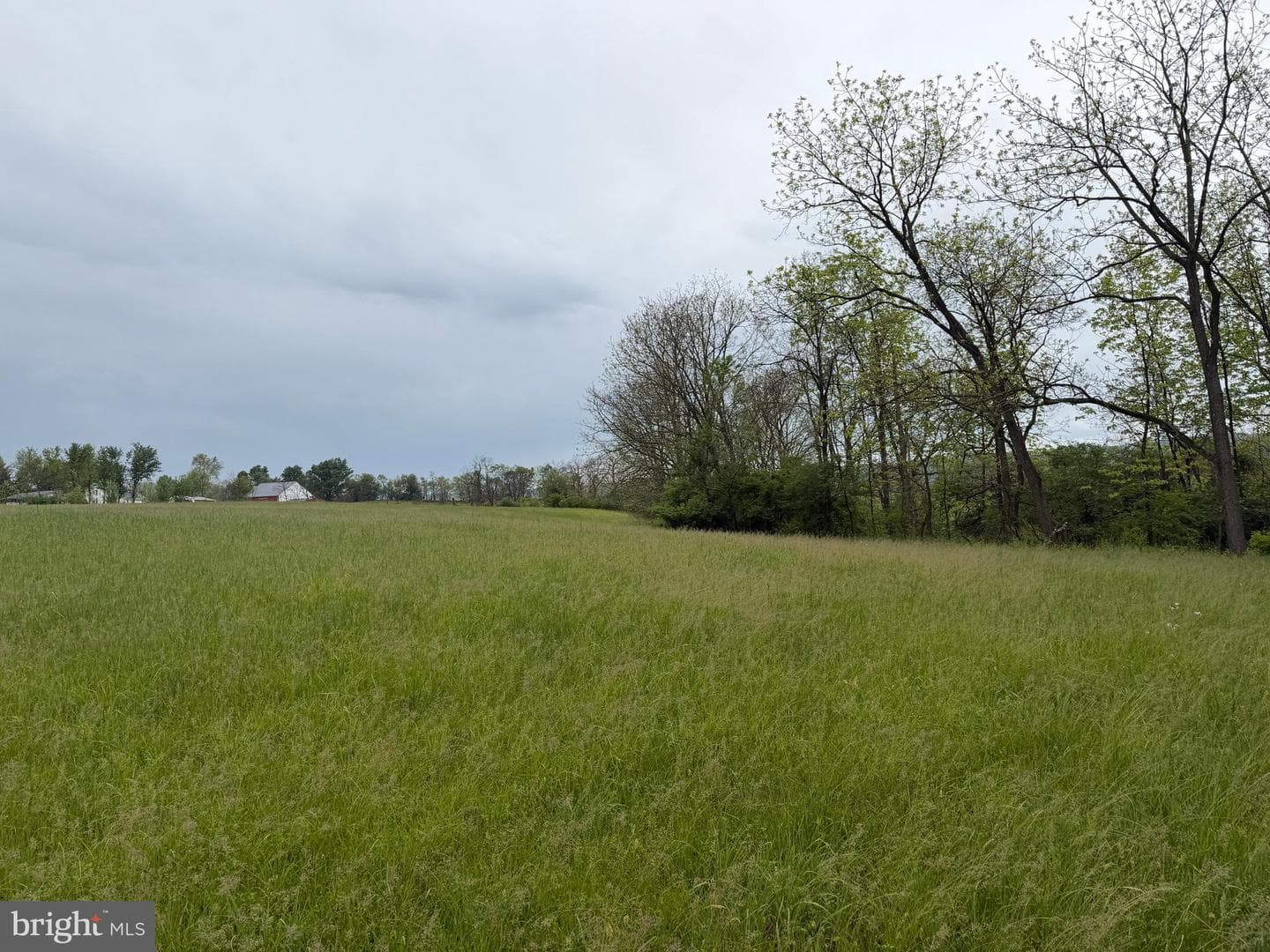 12591 Shimpstown Rd photo 37