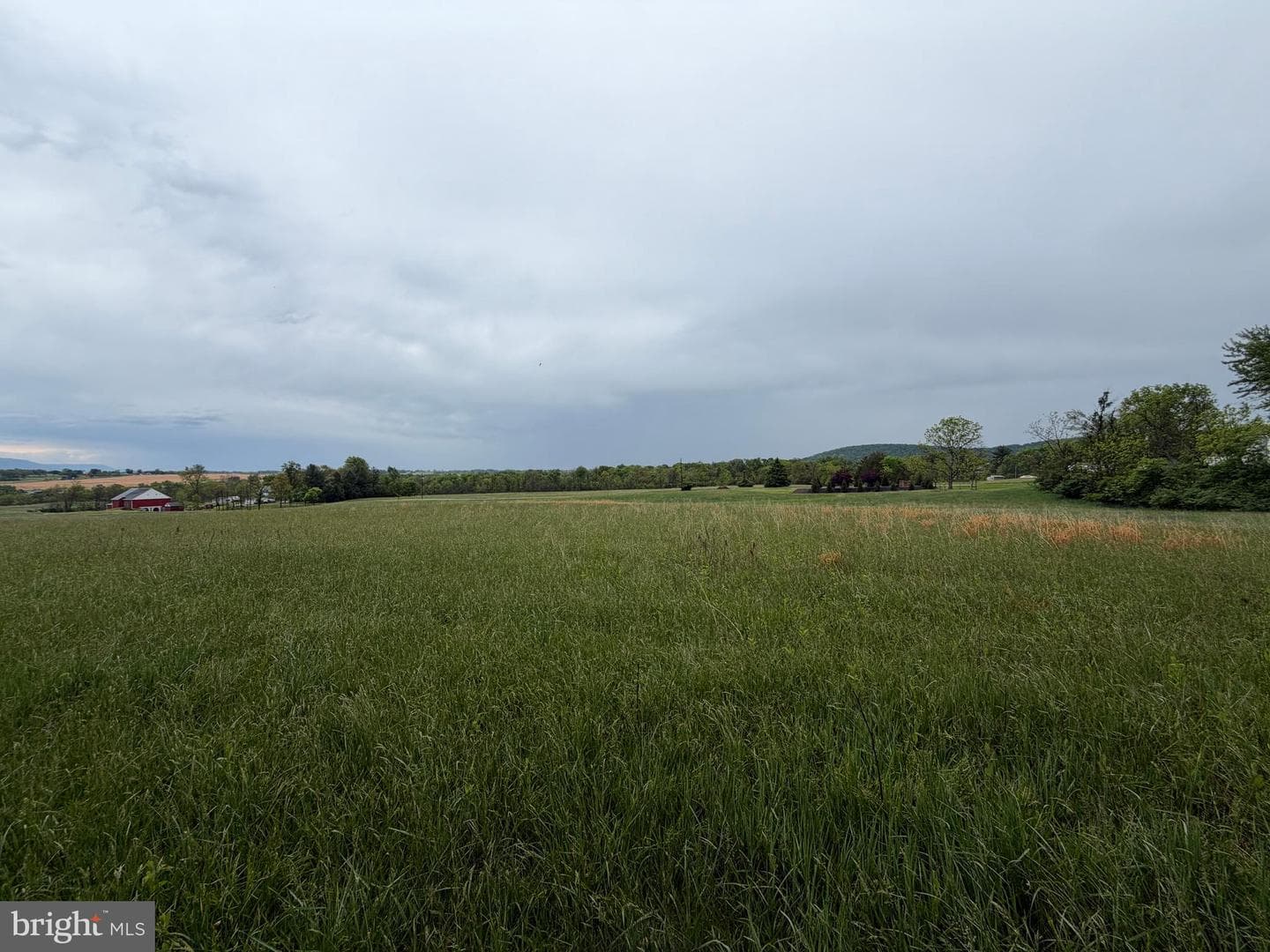 12591 Shimpstown Rd photo 40