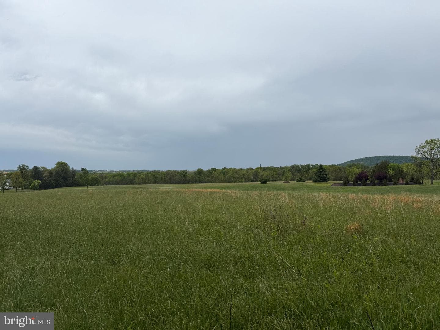 12591 Shimpstown Rd photo 41