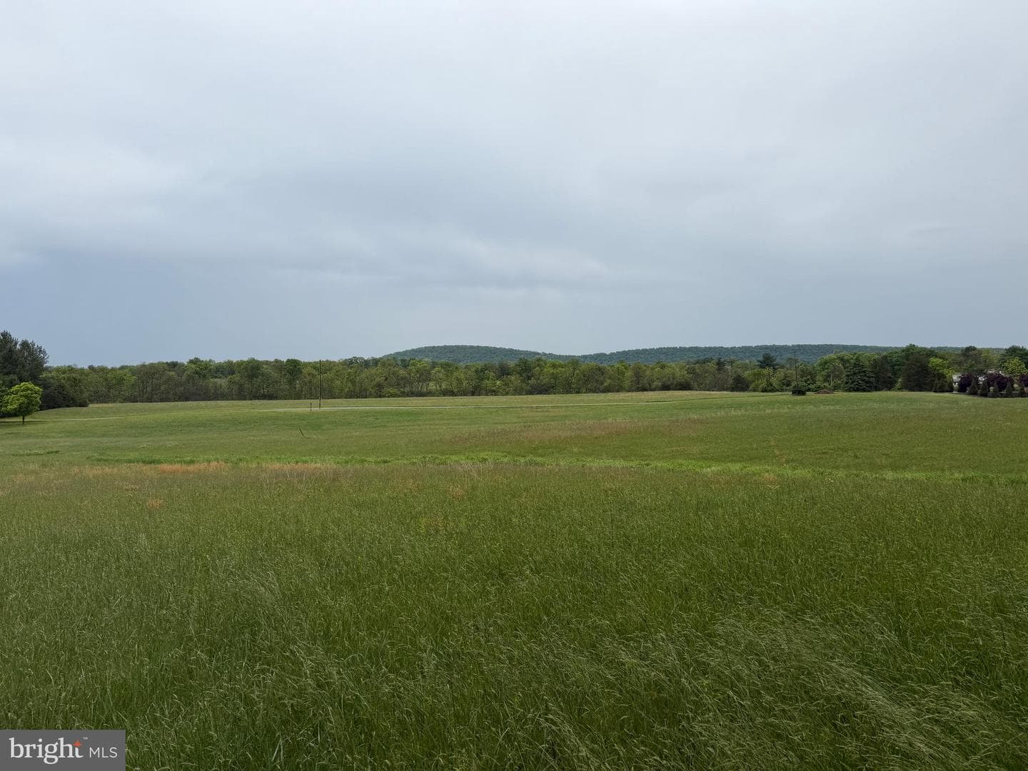 12591 Shimpstown Rd photo 47