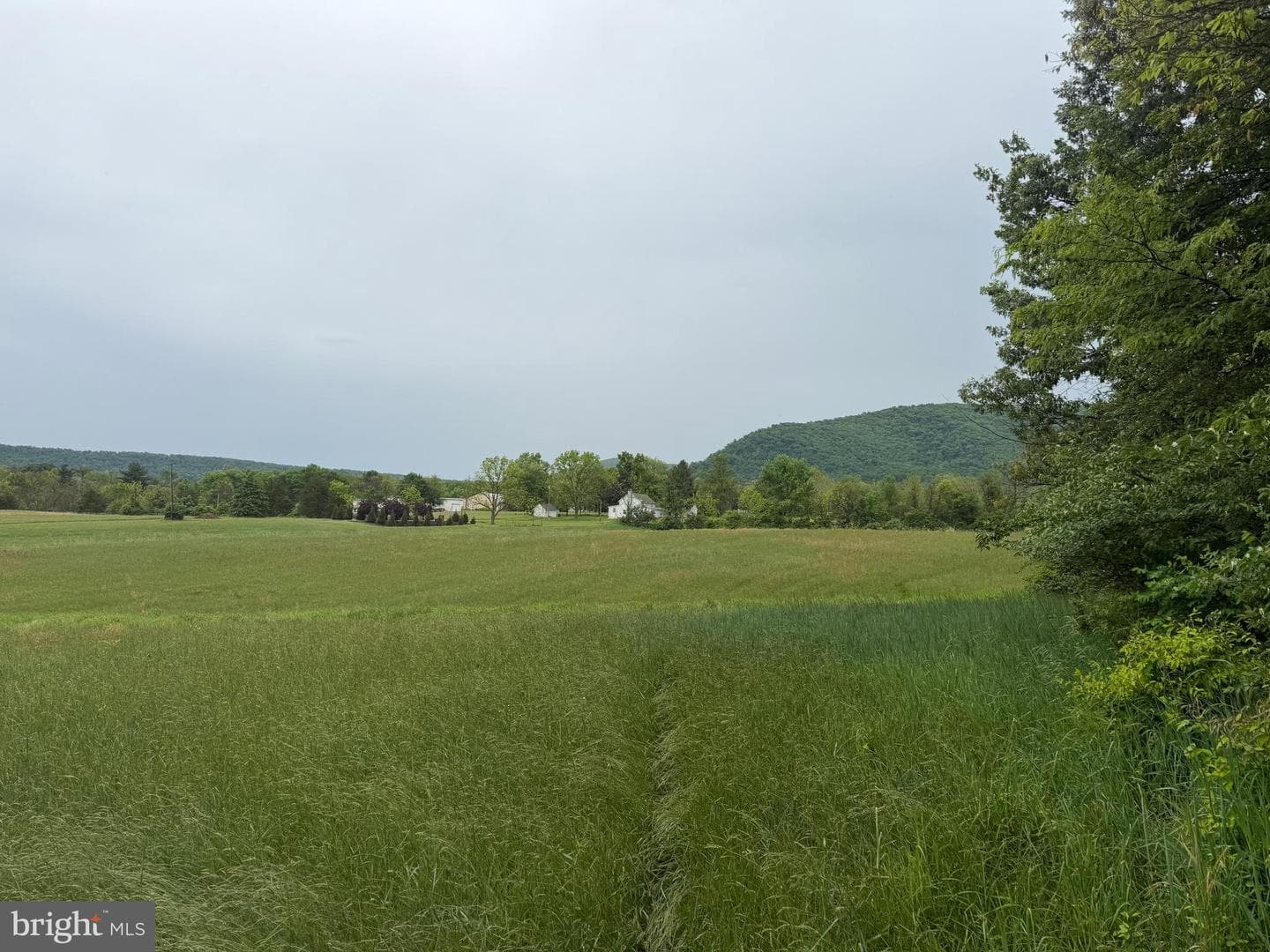 12591 Shimpstown Rd photo 48