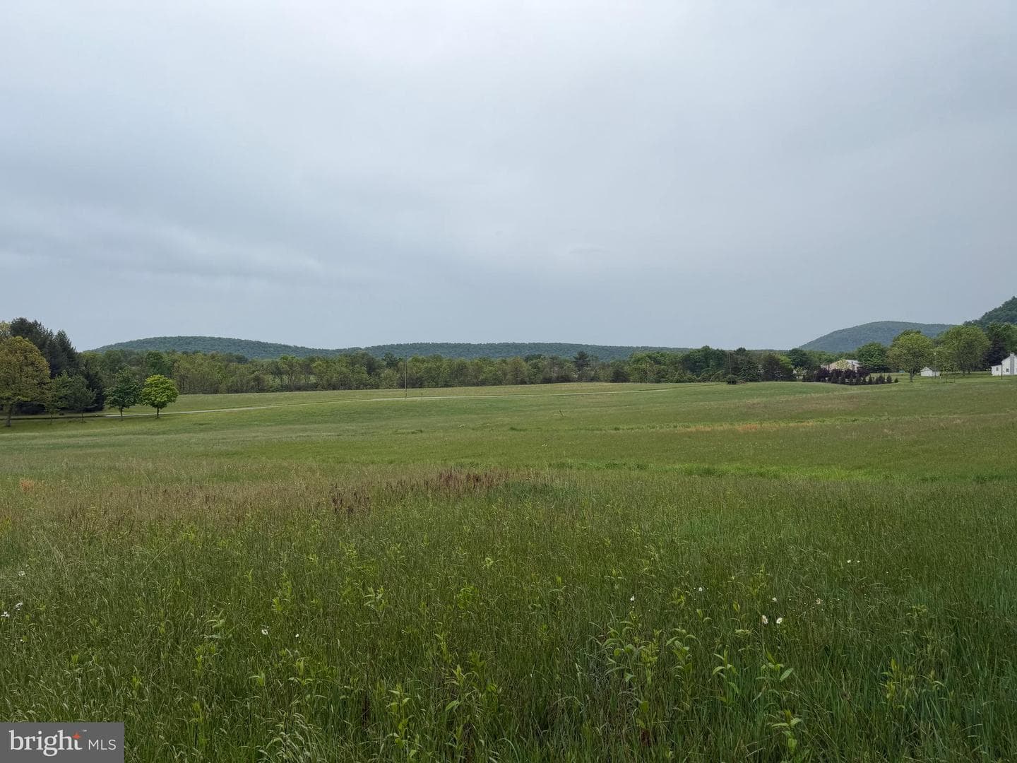 12591 Shimpstown Rd photo 51
