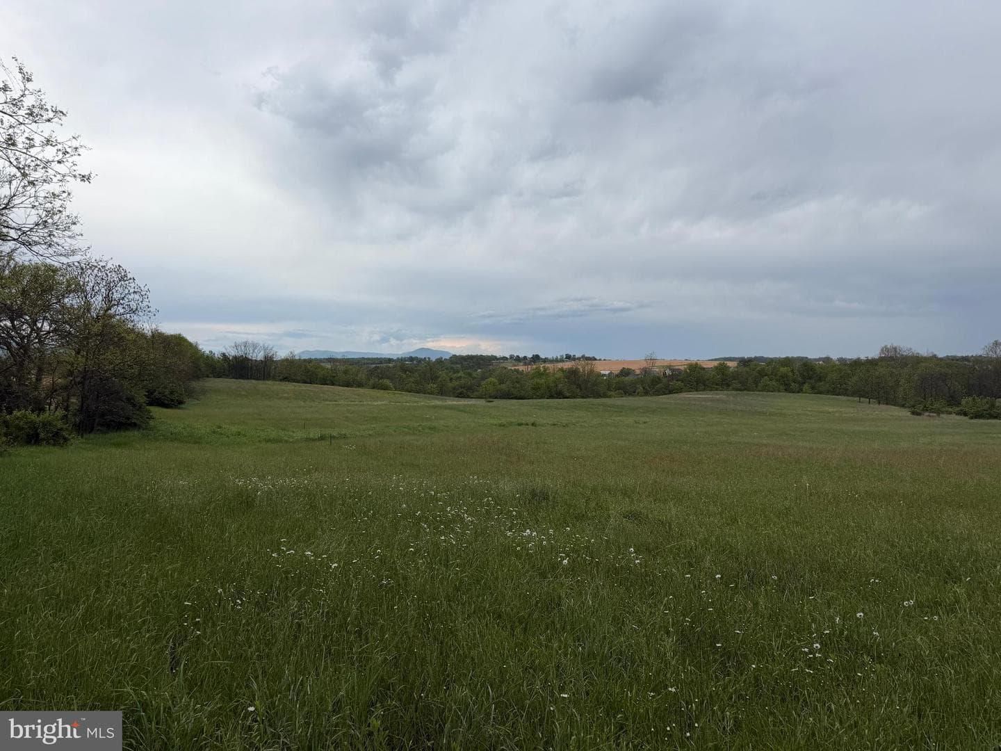 12591 Shimpstown Rd photo 52
