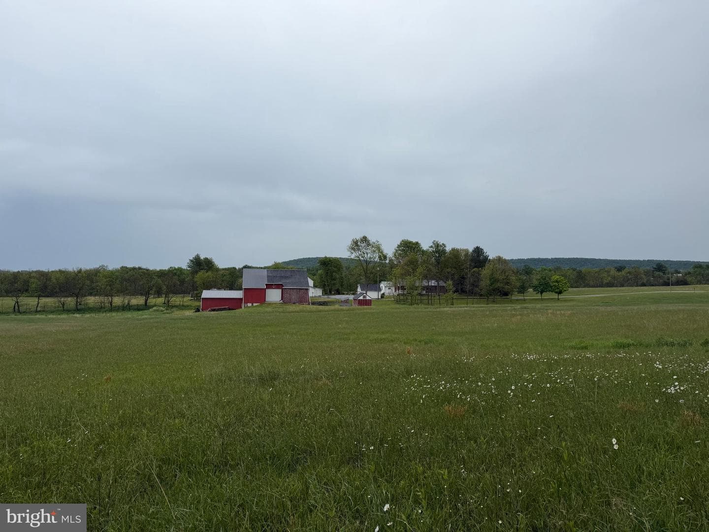 12591 Shimpstown Rd photo 53