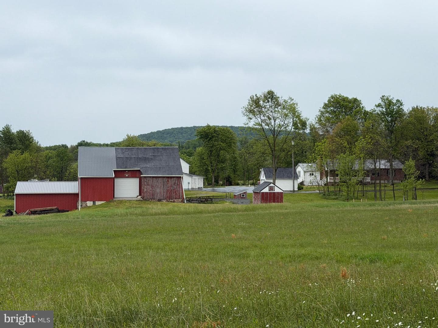 12591 Shimpstown Rd photo 54