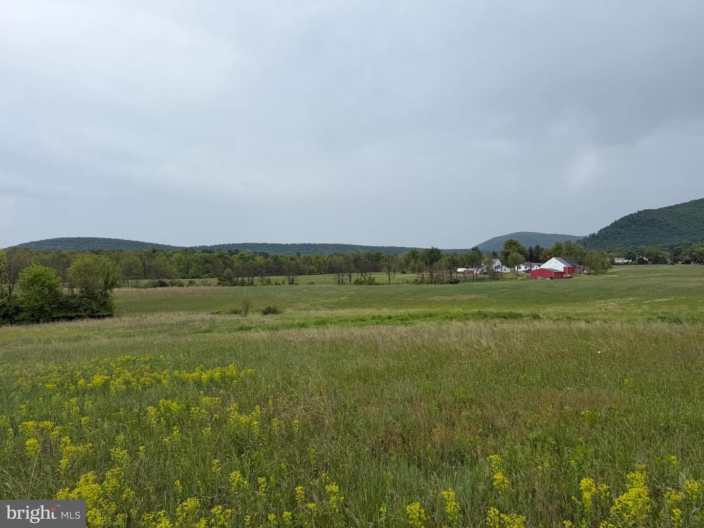 12591 Shimpstown Rd photo 56