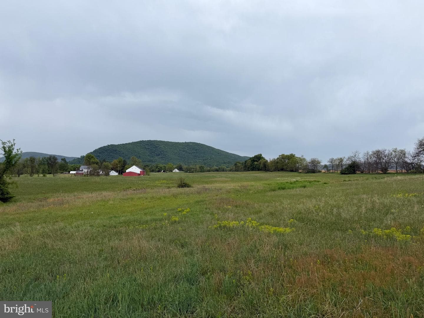 12591 Shimpstown Rd photo 57