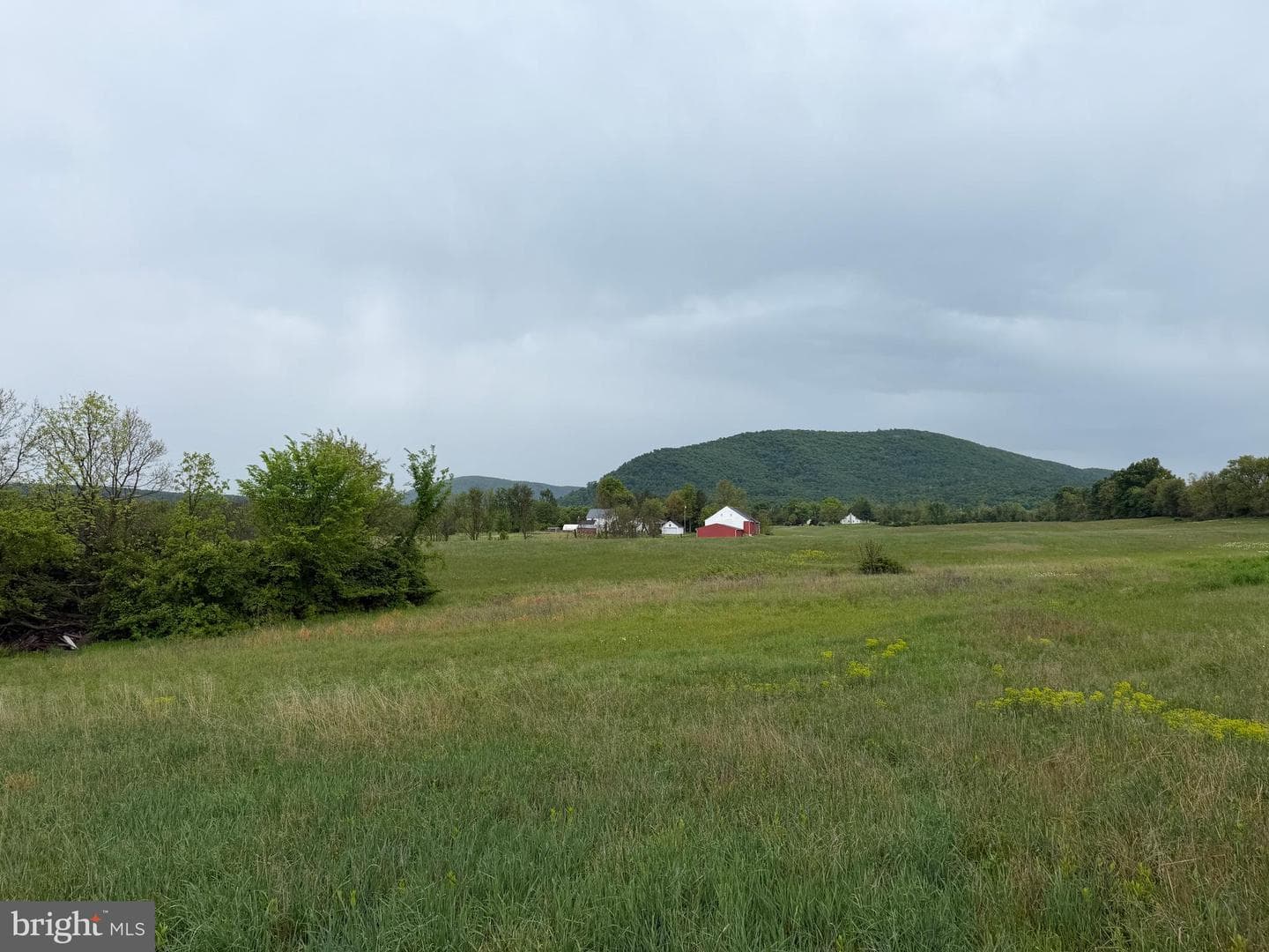 12591 Shimpstown Rd photo 58