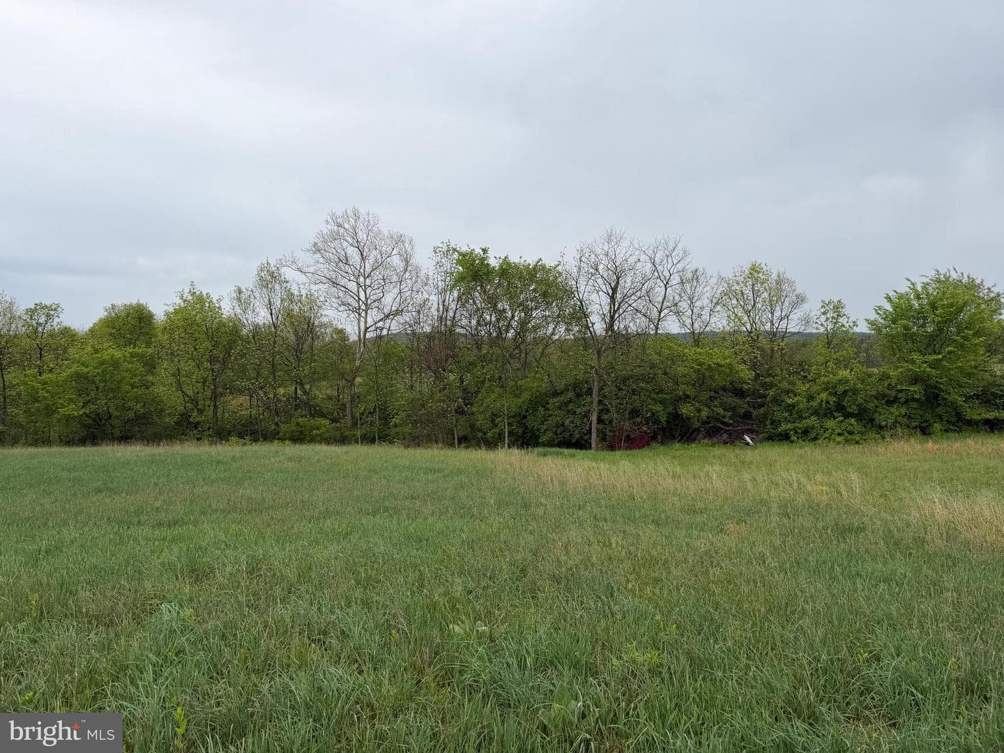 12591 Shimpstown Rd photo 60