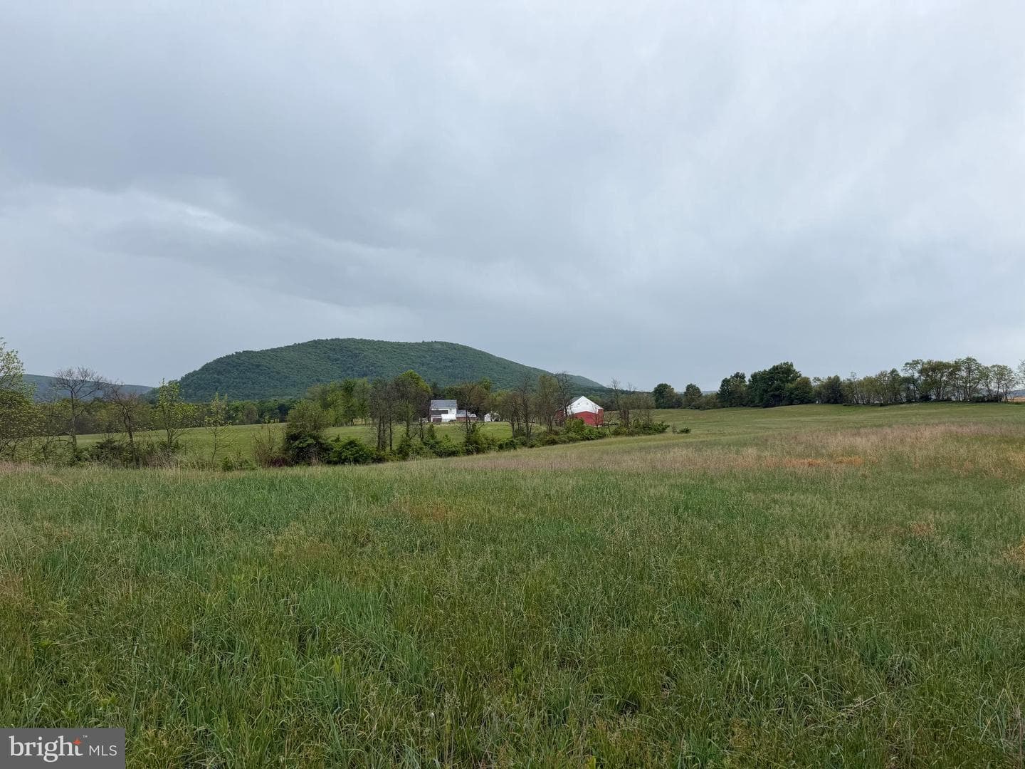 12591 Shimpstown Rd photo 61