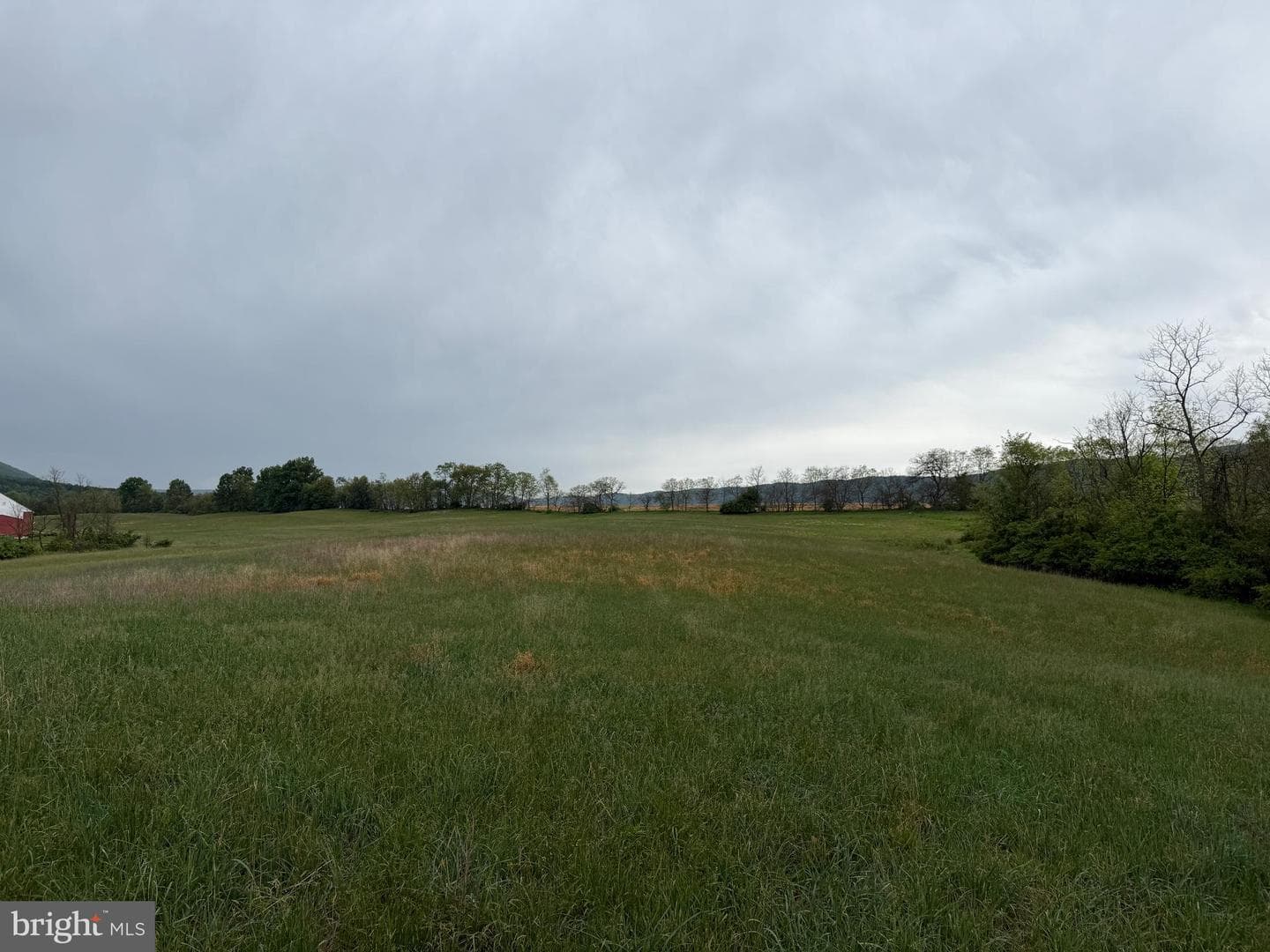 12591 Shimpstown Rd photo 62