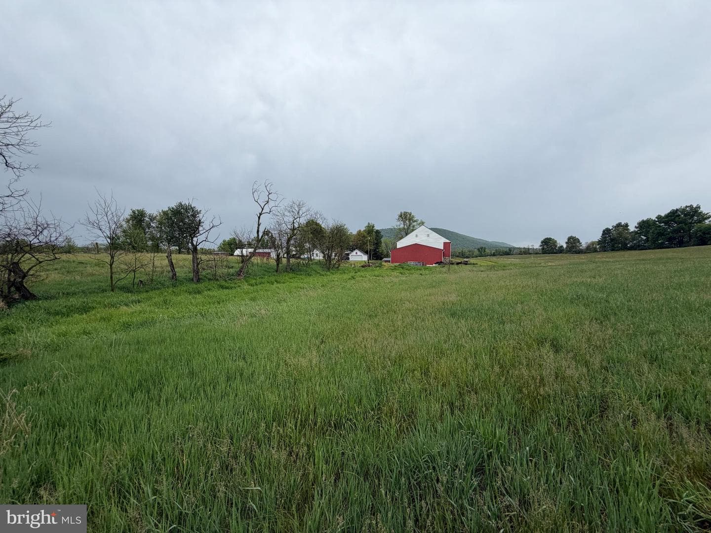 12591 Shimpstown Rd photo 64