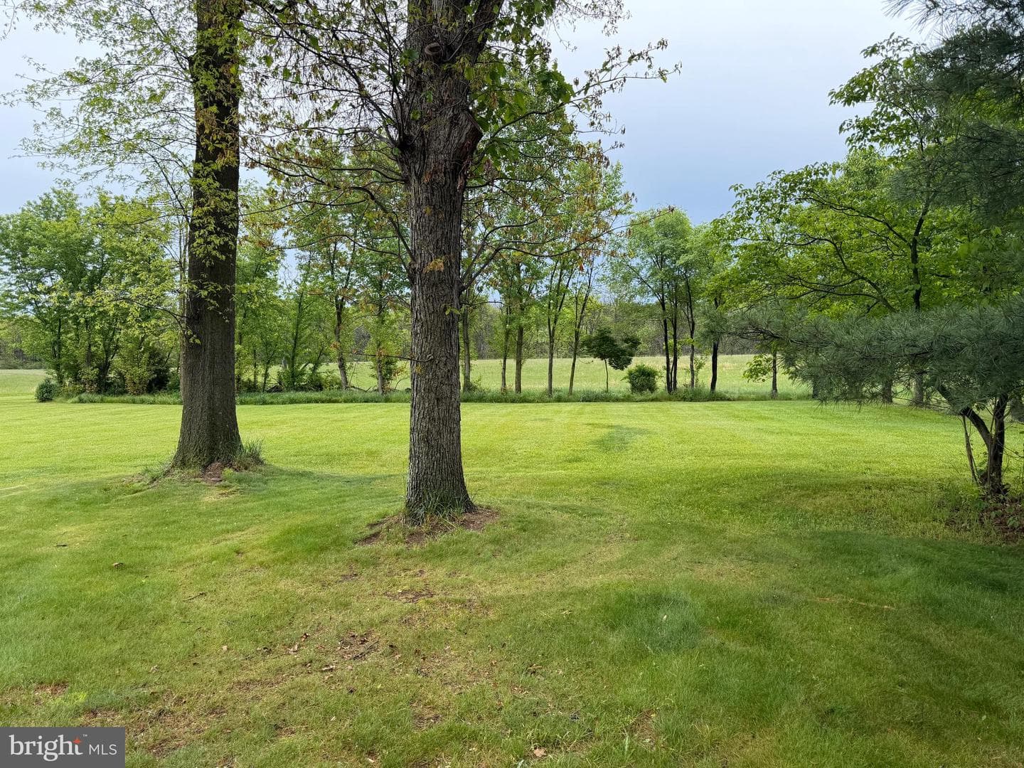 12591 Shimpstown Rd photo 72