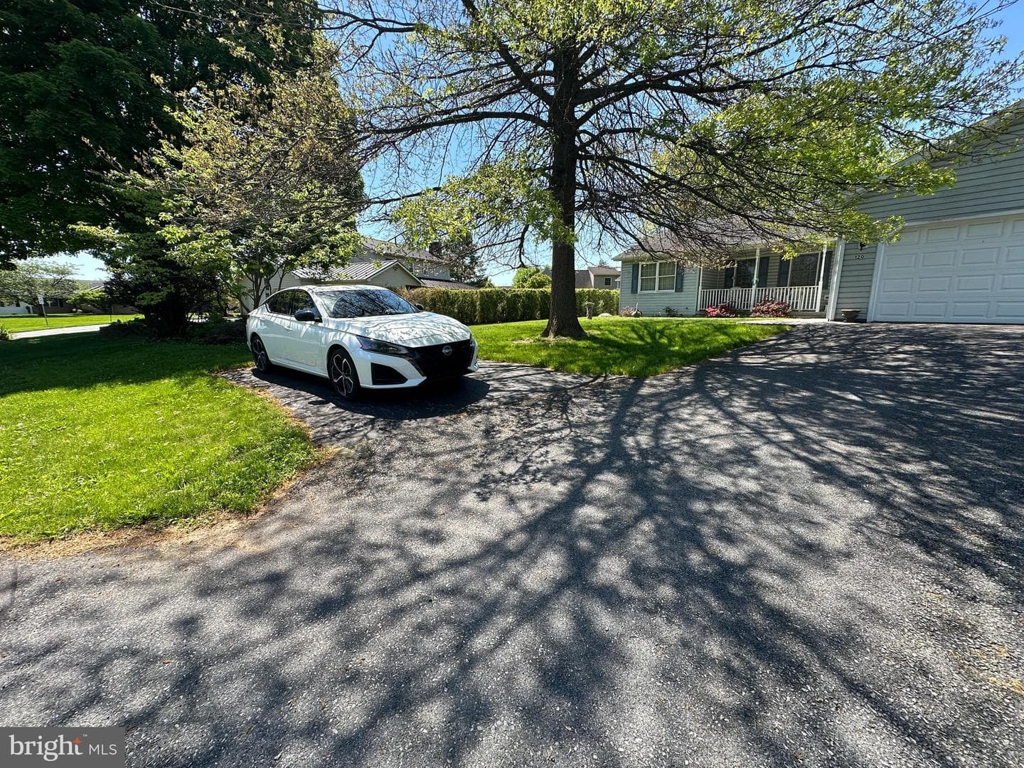 120 Chancellor Drive photo 17