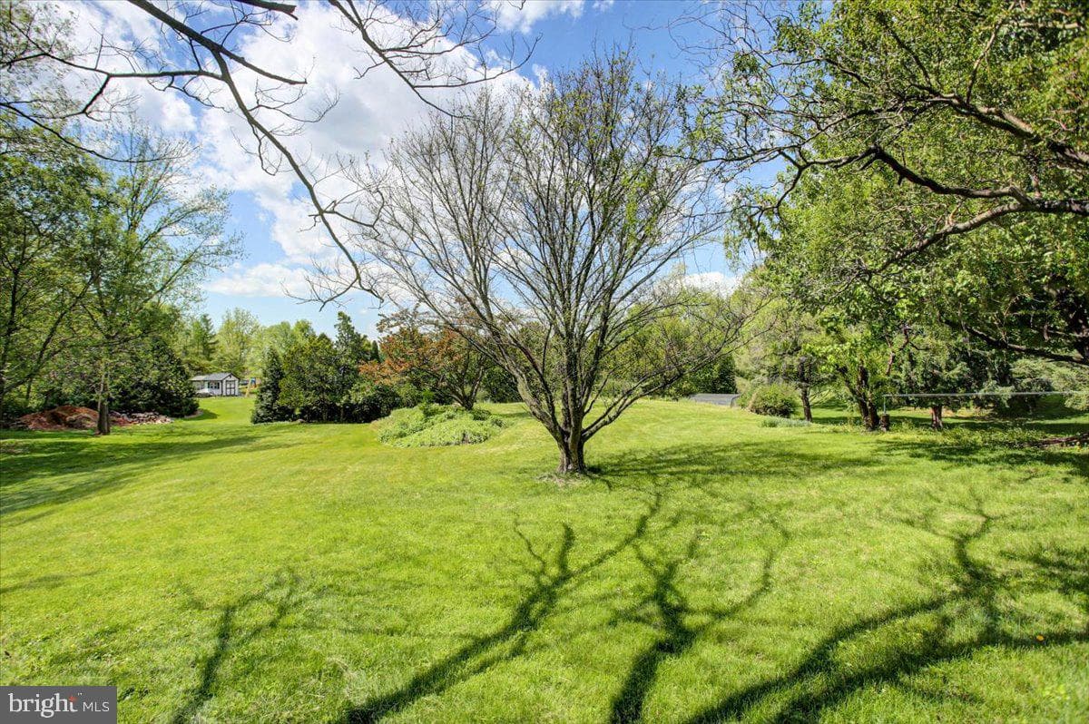 848 Carey Drive photo 6