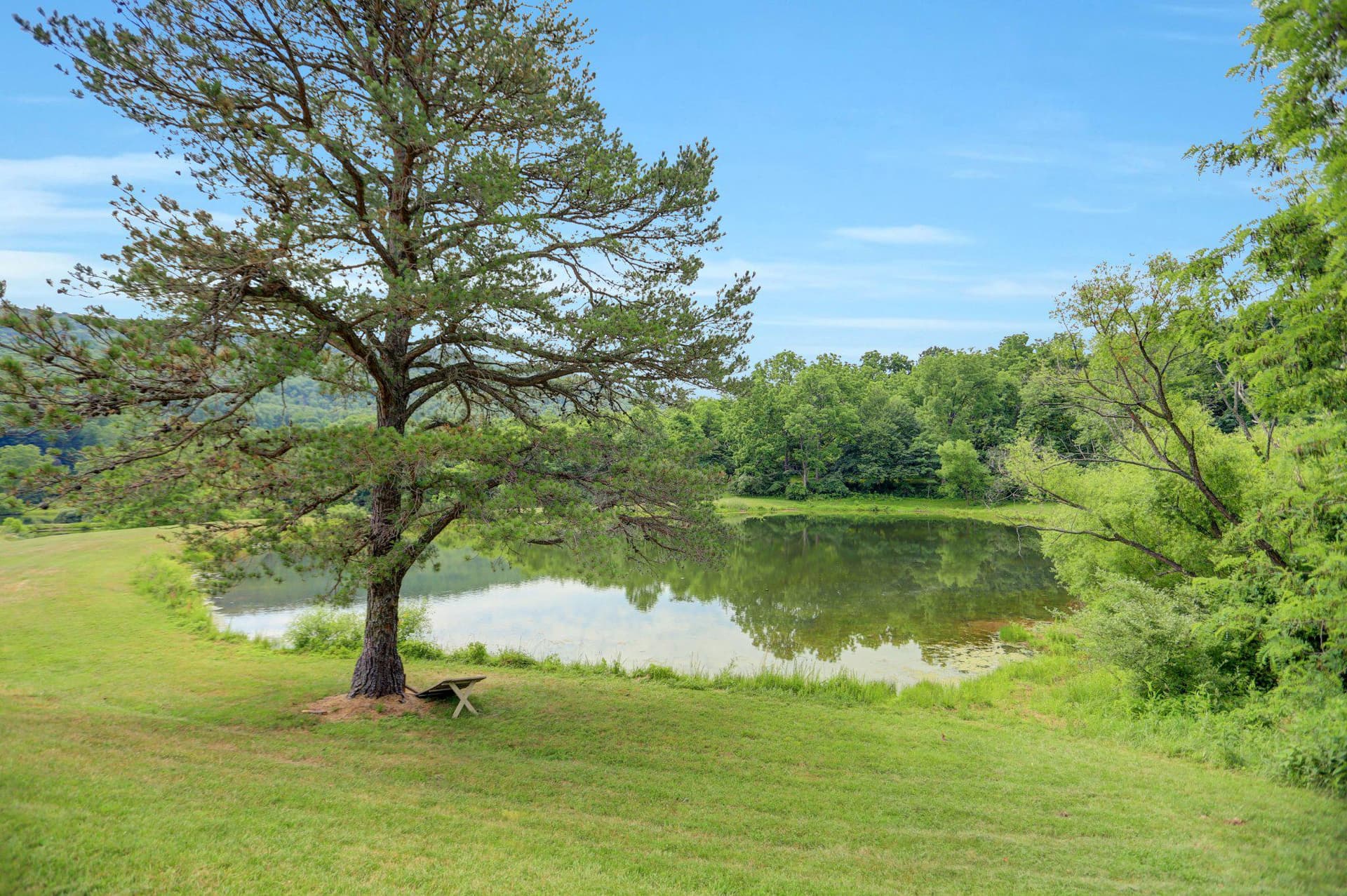 14201 Barberry Circle #101 photo 14