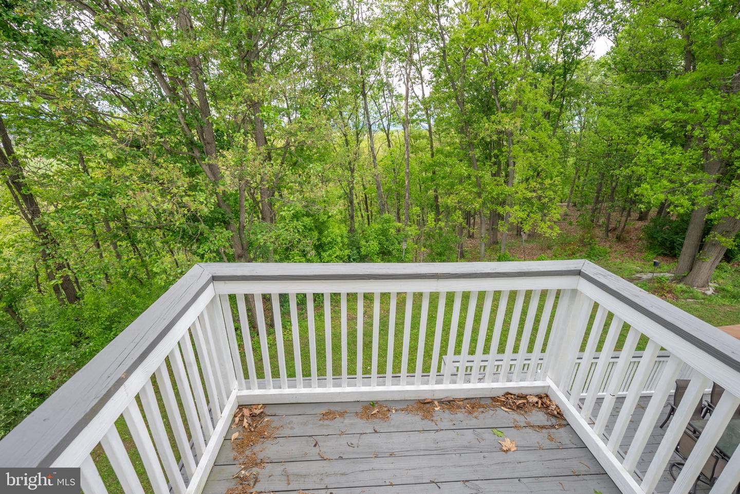 2384 Castlegreen Drive photo 49