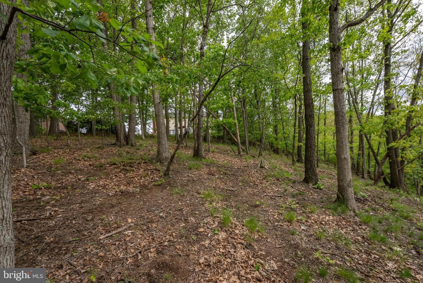 2384 Castlegreen Drive photo 85