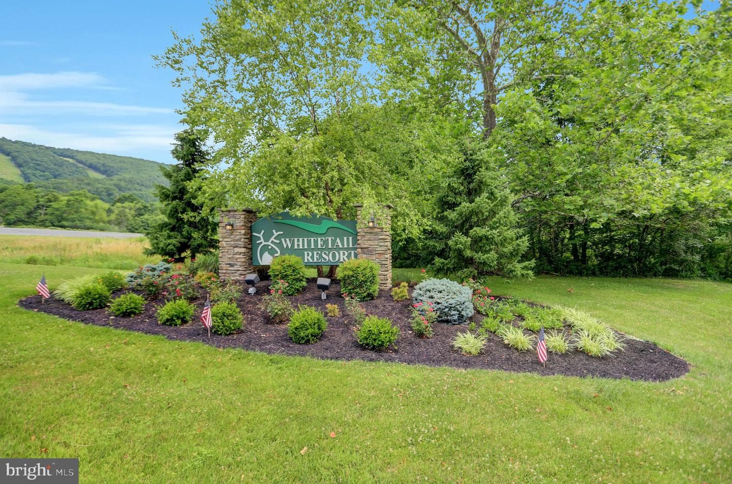 14101 Barberry Circle #402 photo 33