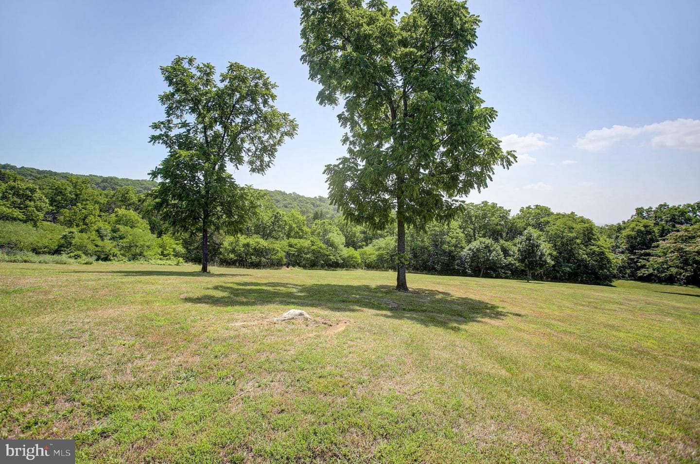 10787 Lincoln Way West W photo 106