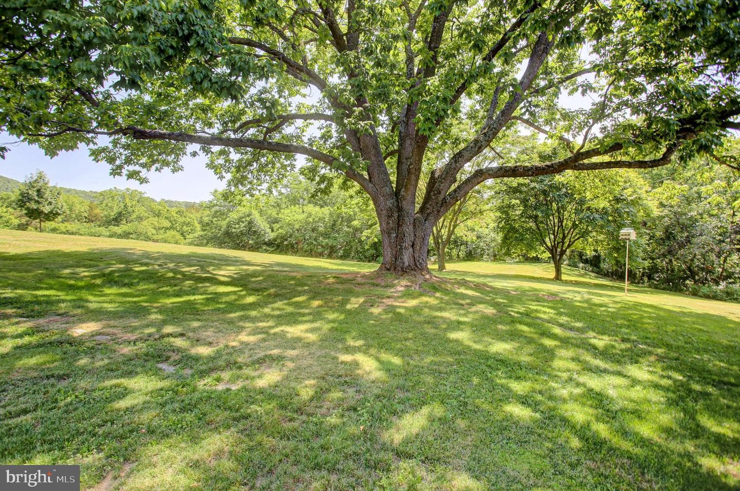 10787 Lincoln Way West W photo 80