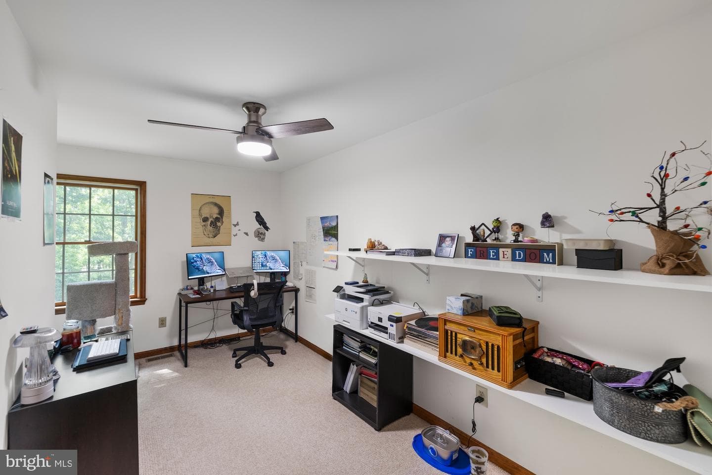 10373 Fish & Game Road photo 29