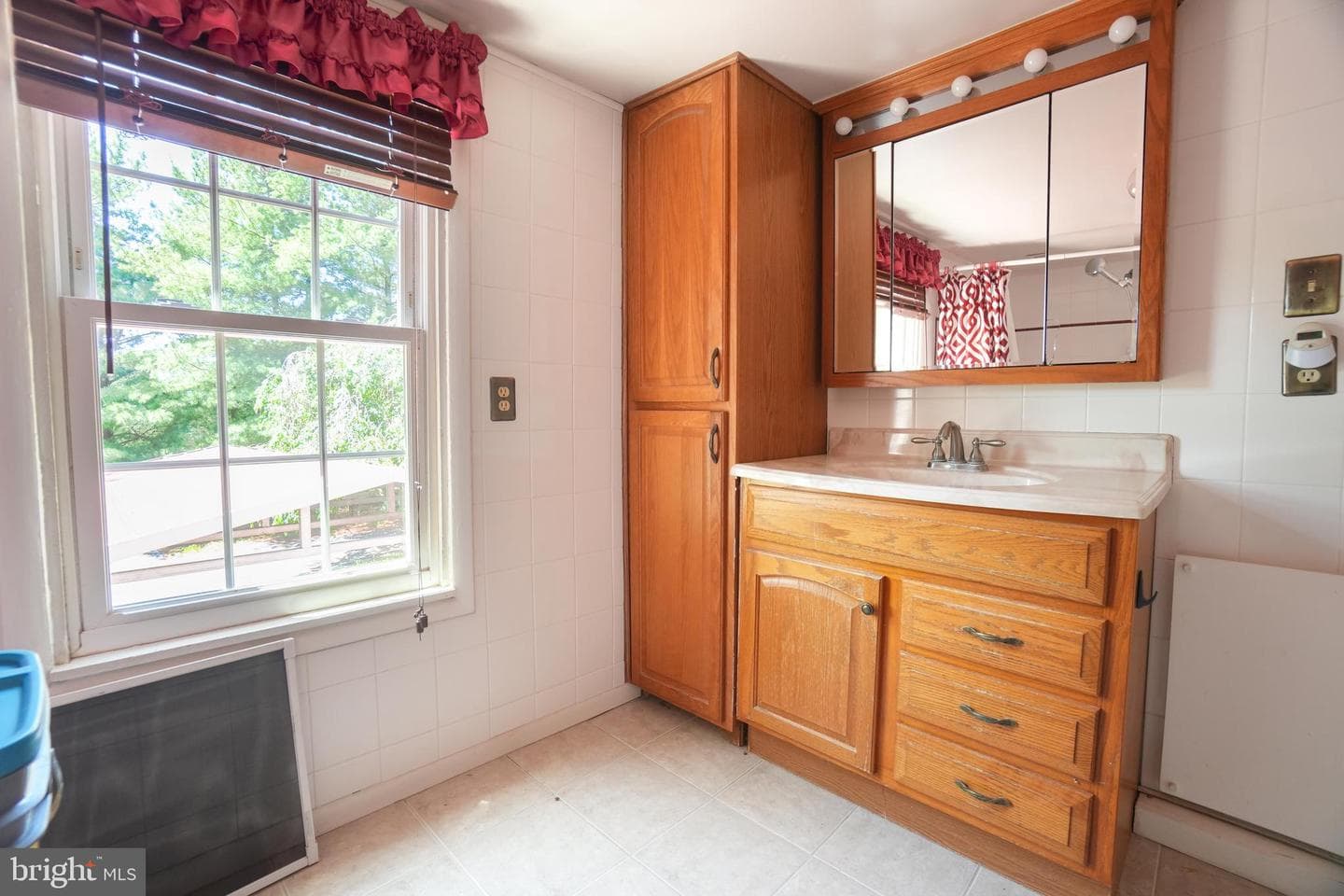 13927 Ridge Road photo 59