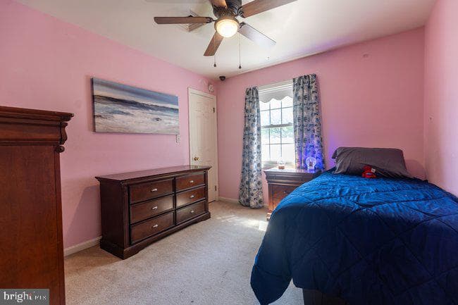 901 Cypress Street photo 25