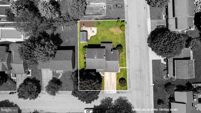 901 Cypress Street photo 42