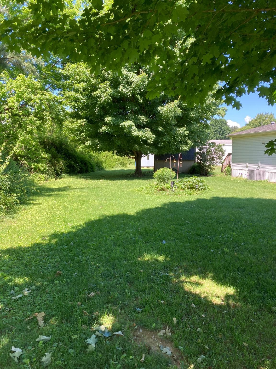 78 Lenwood photo 21