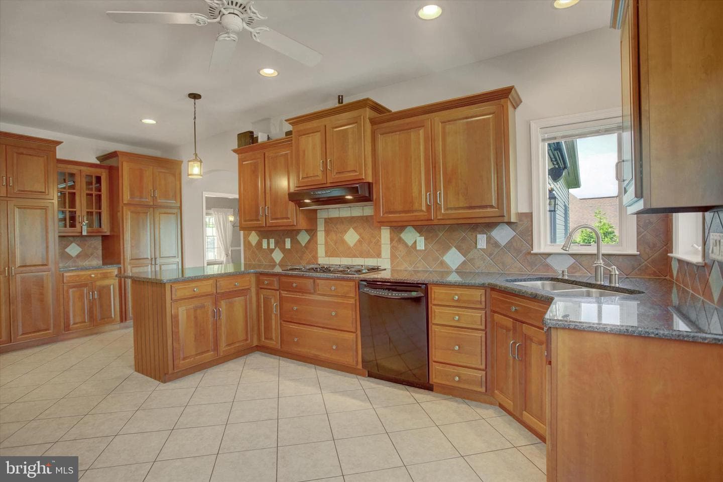 11067 Weatherstone Drive photo 36