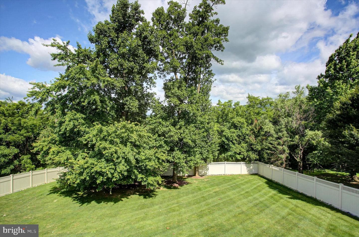 11067 Weatherstone Drive photo 78