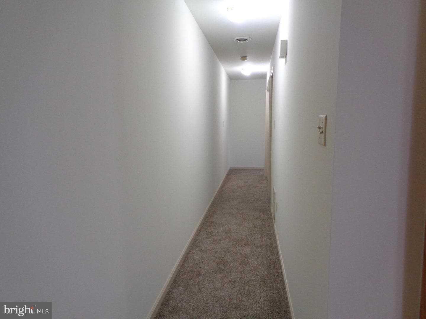 428 Martina Drive photo 11