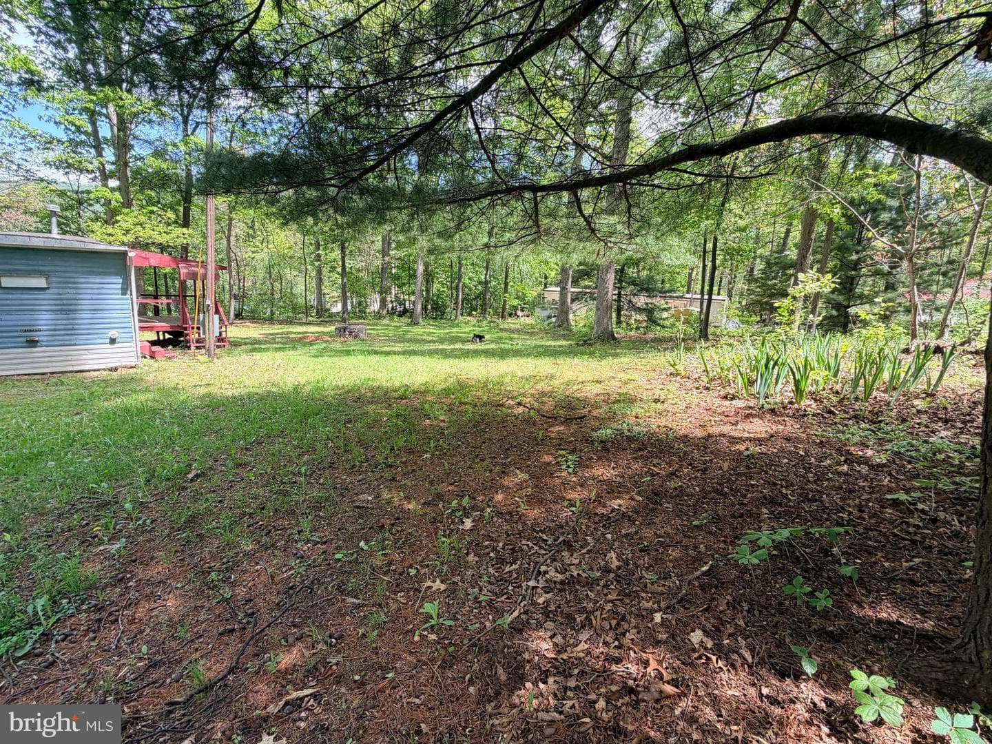 3372 Dogwood Dr photo 15