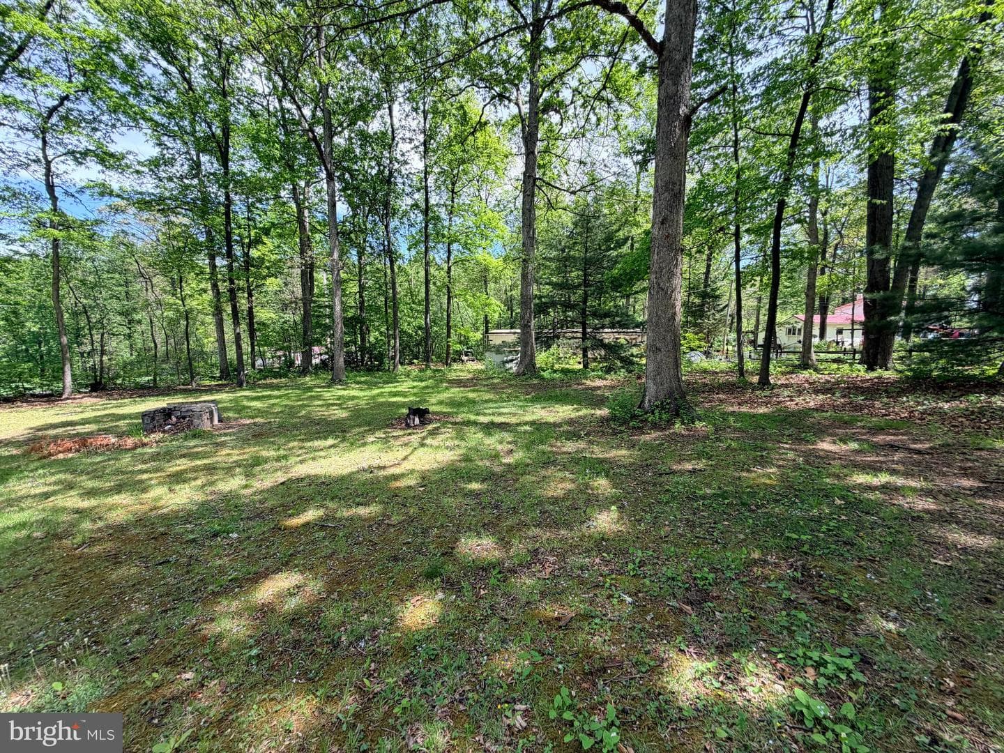 3372 Dogwood Dr photo 18
