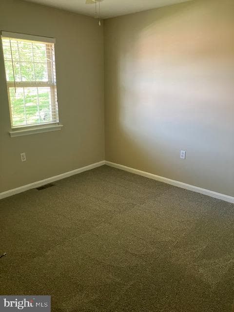 2339 Mccleary Drive photo 20