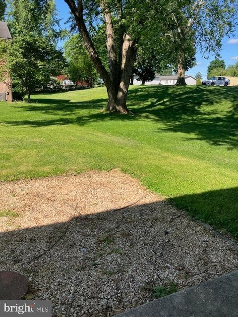 2339 Mccleary Drive photo 29