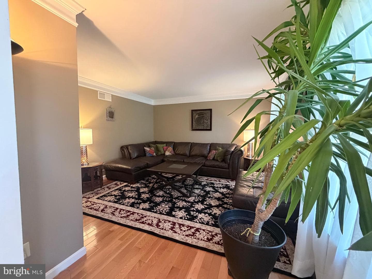 206 Phoenix Drive photo 8