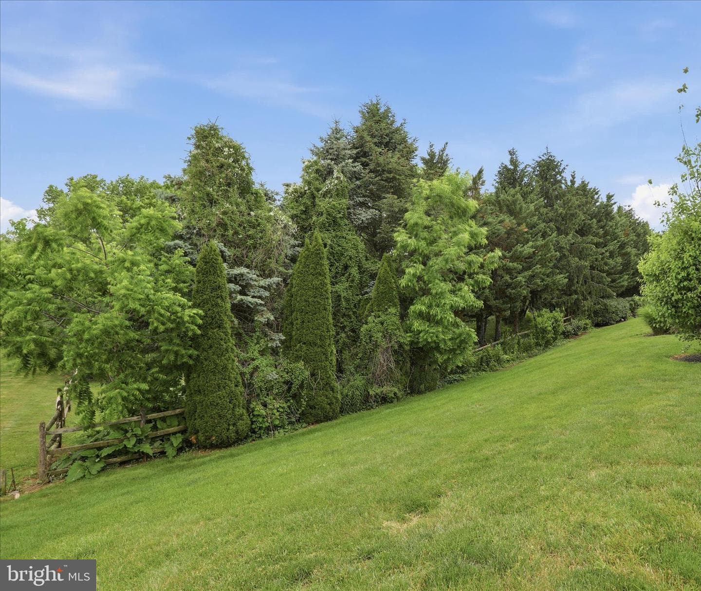 254 Phoenix Drive photo 32