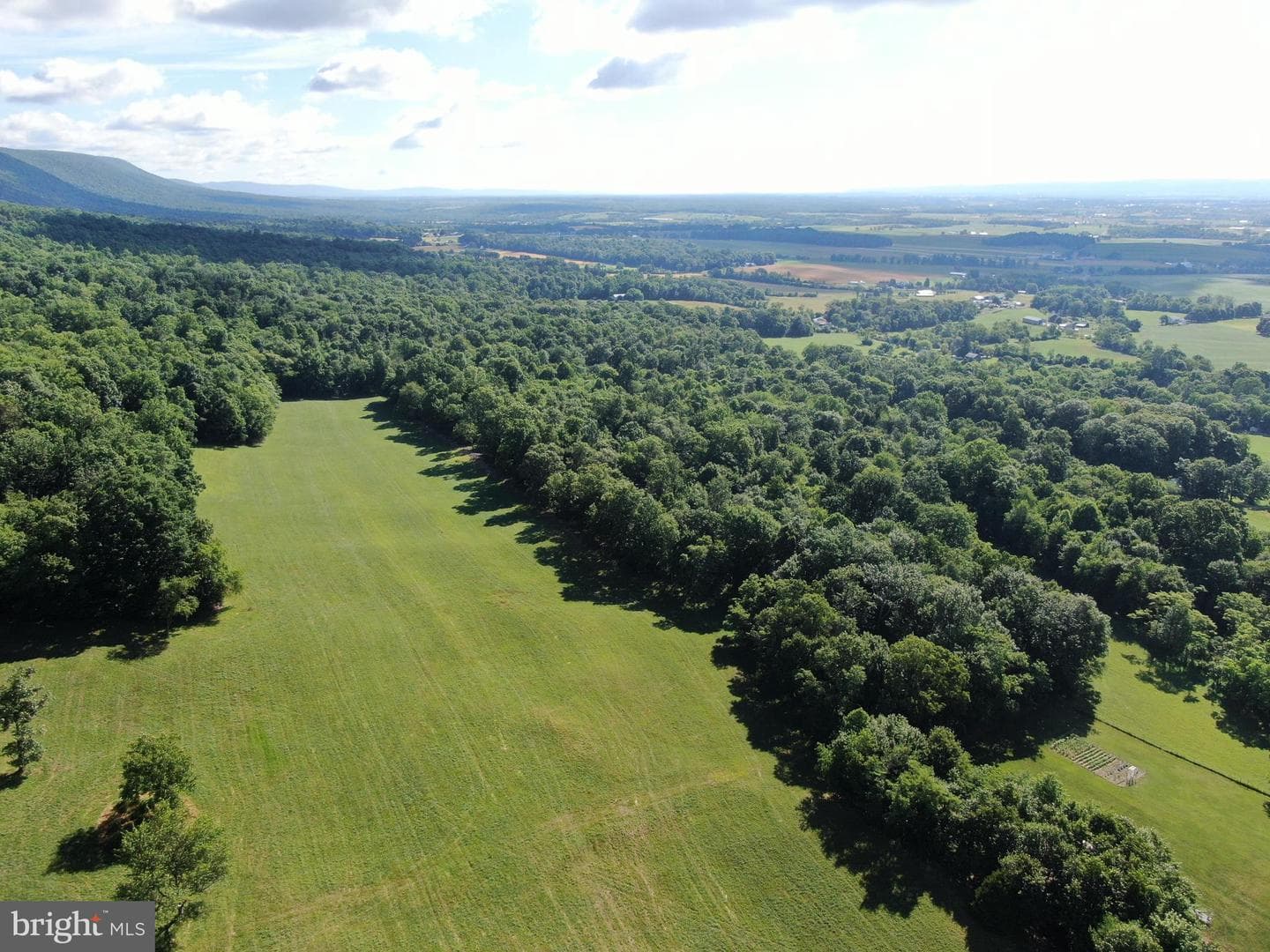 Tract 1: 56+/- Acres At 9611 Circle Drive photo 18