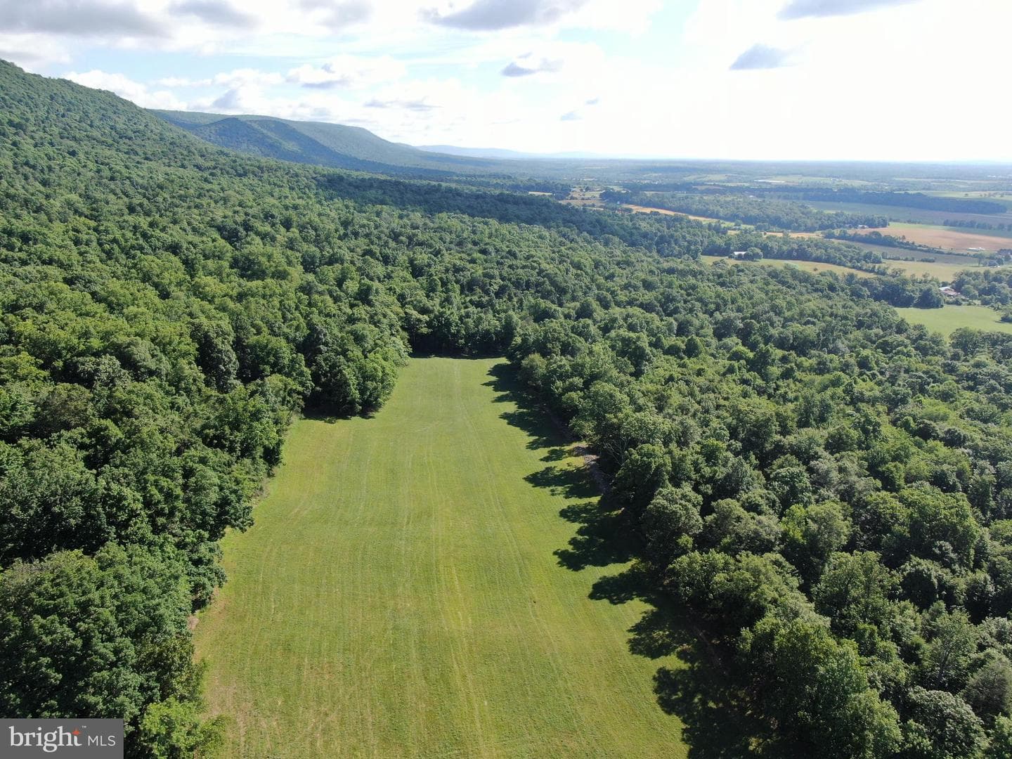 Tract 1: 56+/- Acres At 9611 Circle Drive photo 19