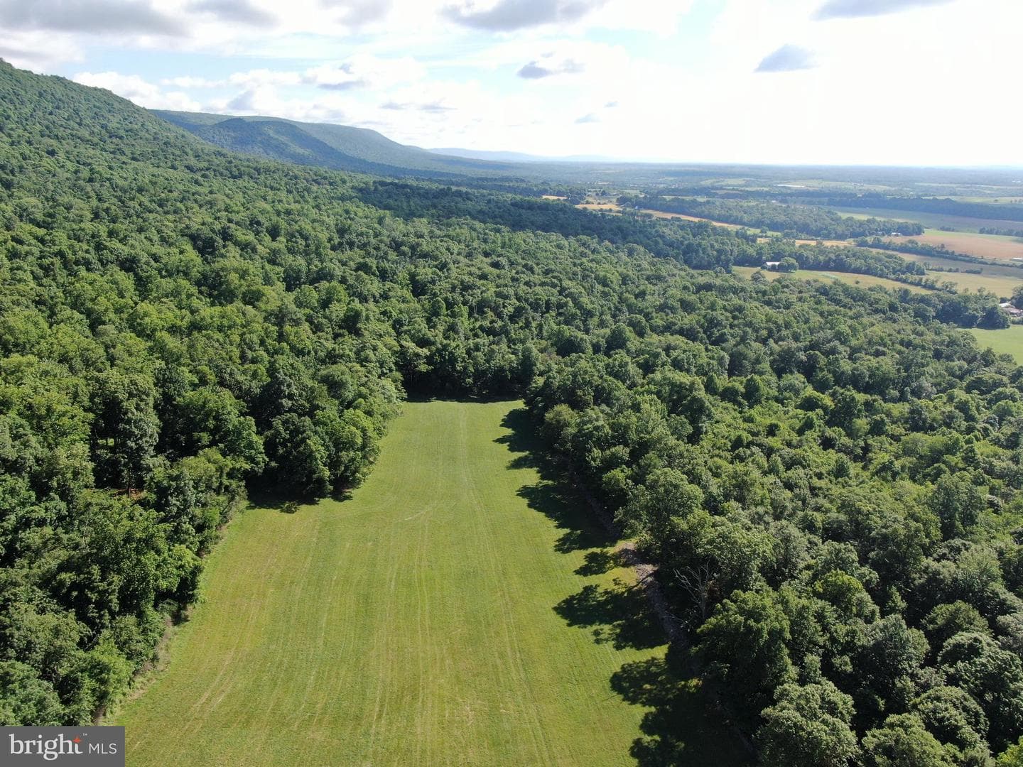 Tract 1: 56+/- Acres At 9611 Circle Drive photo 20