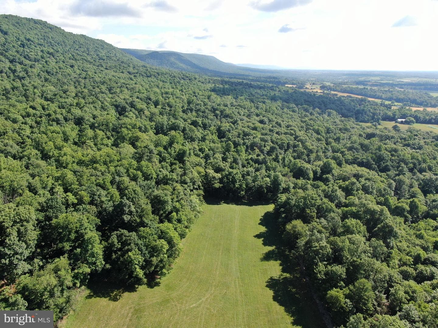 Tract 1: 56+/- Acres At 9611 Circle Drive photo 21